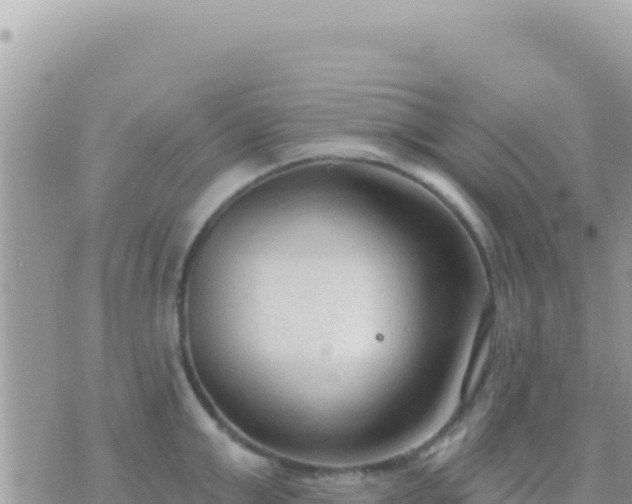 X0000073760999200608102041