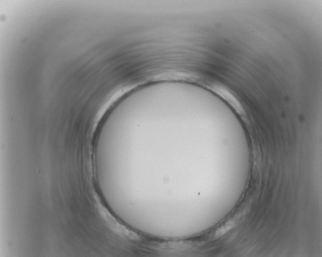 X0000073761000200608102041