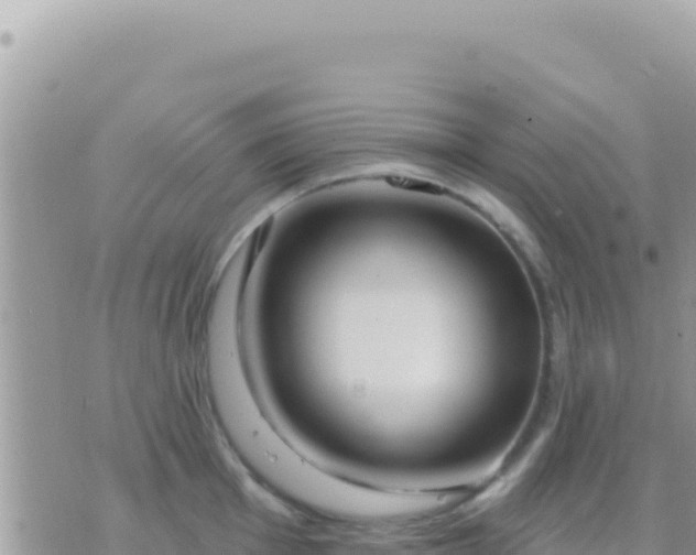 X0000073761001200608102041