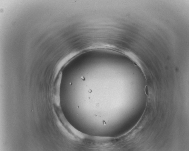 X0000073761003200608102041