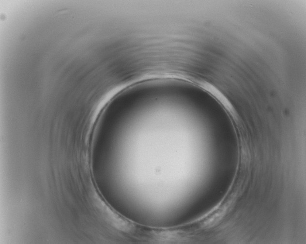 X0000073761004200608102041