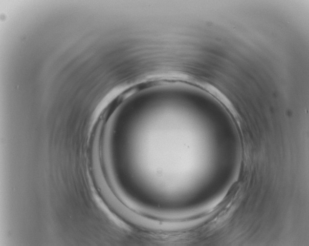 X0000073761005200608102041