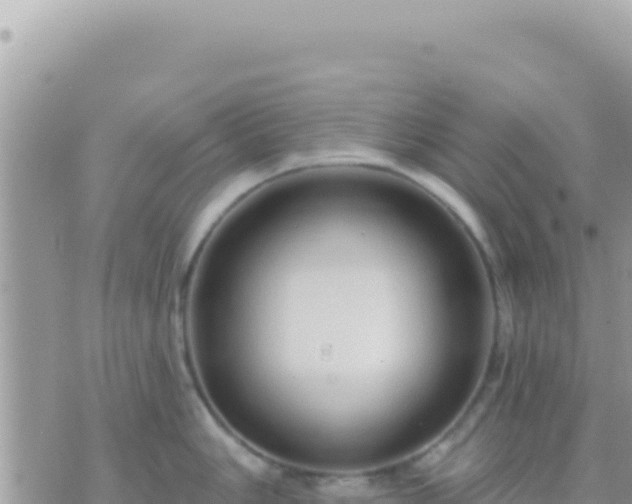 X0000073761006200608102041