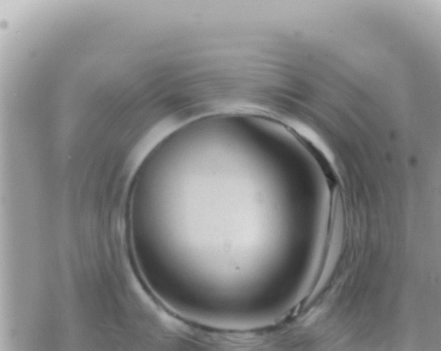 X0000073761007200608102041