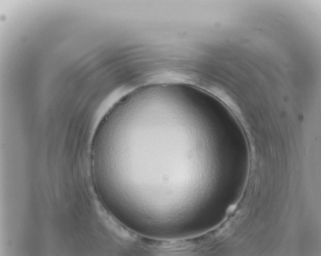 X0000073761008200608102041