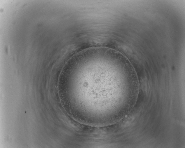 X0000073761009200608102040