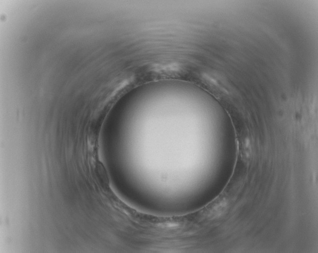 X0000073761010200608102040