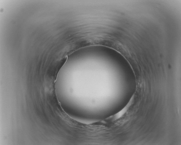 X0000073761012200608102040