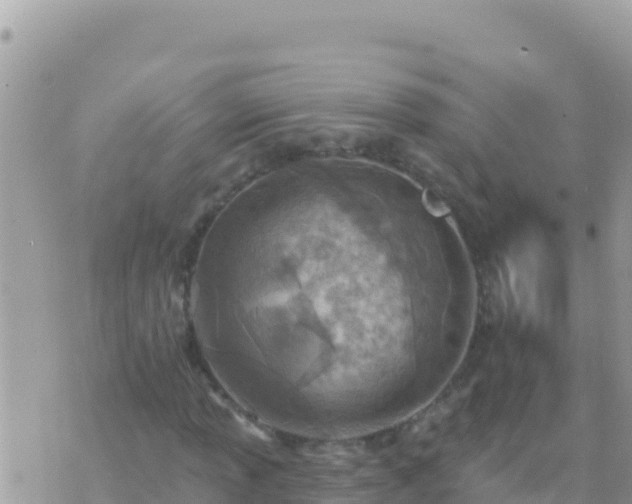 X0000073761013200608102040