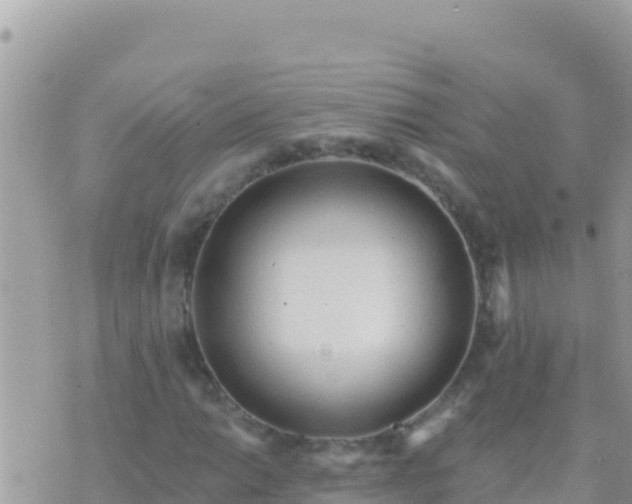 X0000073761014200608102040