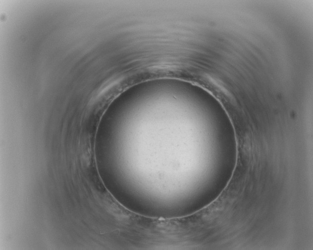 X0000073761015200608102040