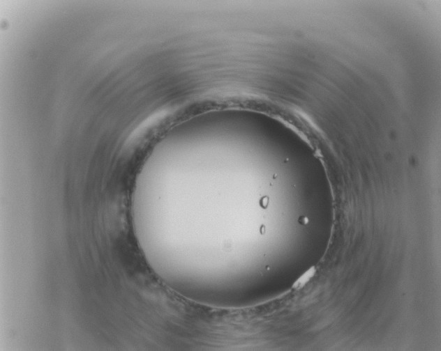 X0000073761016200608102040