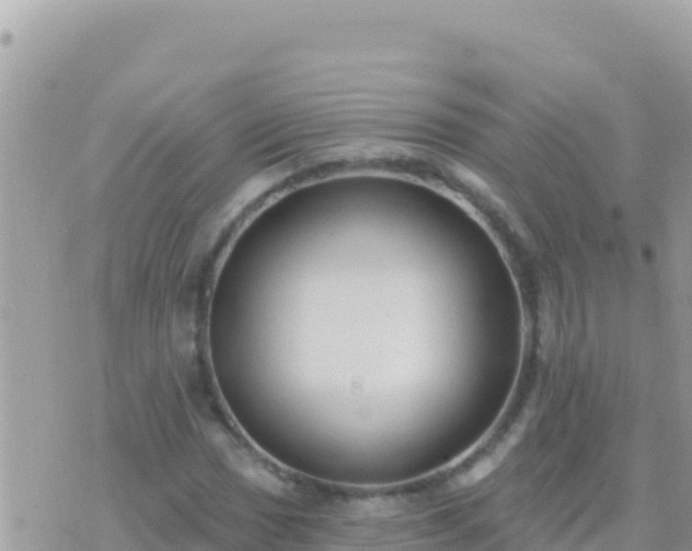 X0000073761017200608102040