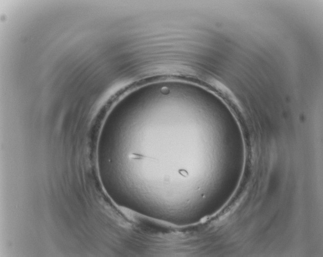 X0000073761019200608102040