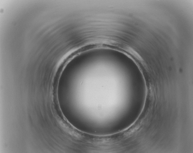 X0000073761020200608102040