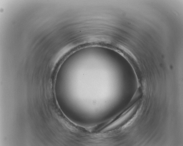 X0000073761021200608102040