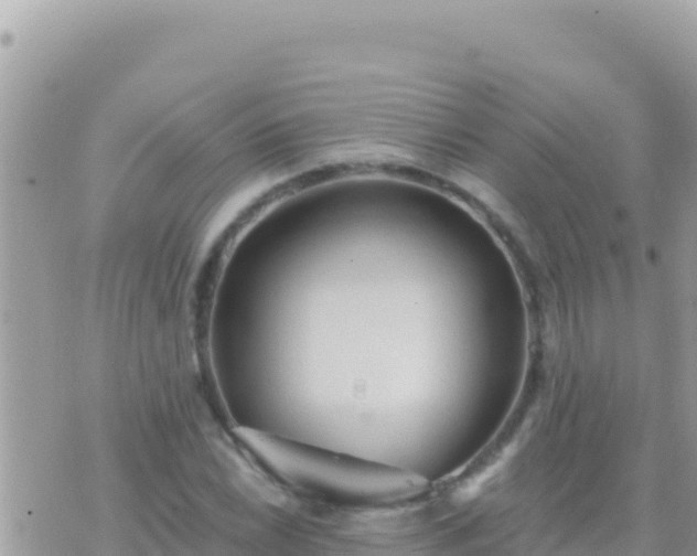 X0000073761022200608102040