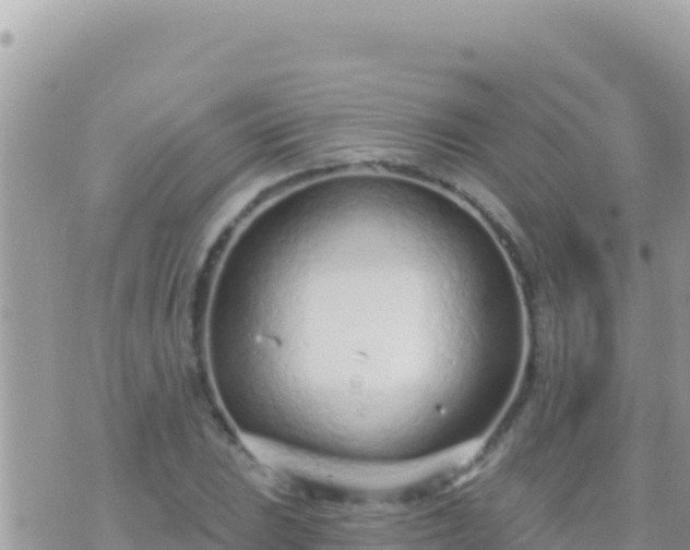 X0000073761023200608102040