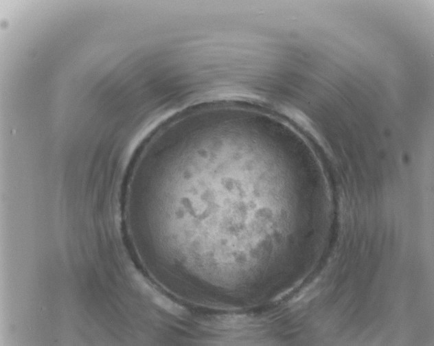 X0000073761024200608102040