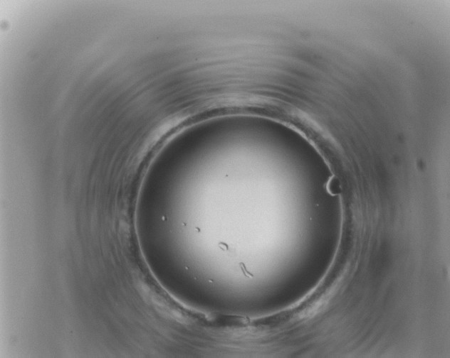 X0000073761025200608102040