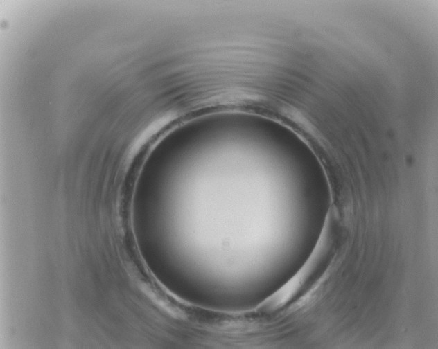 X0000073761026200608102040