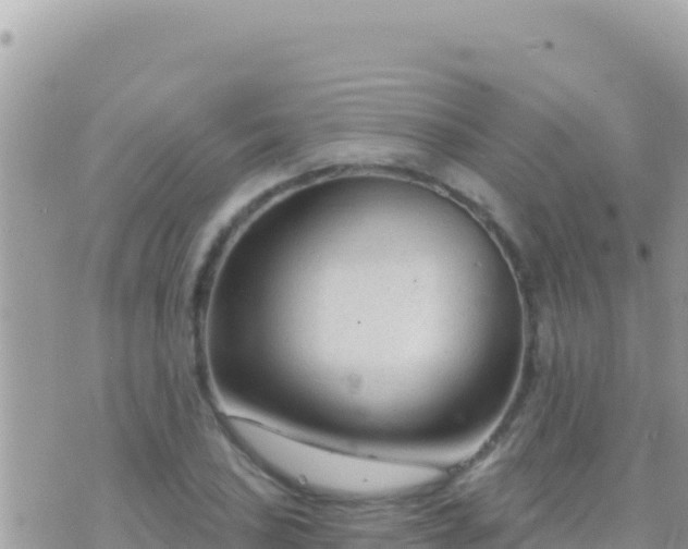 X0000073761027200608102040