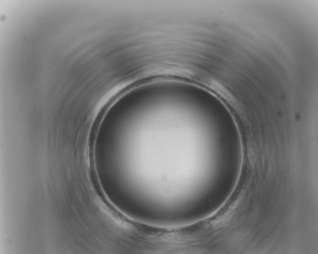 X0000073761028200608102040