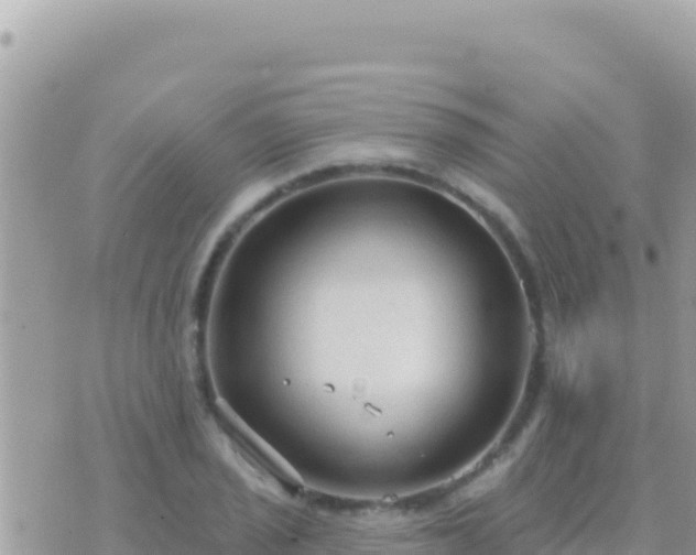 X0000073761029200608102040