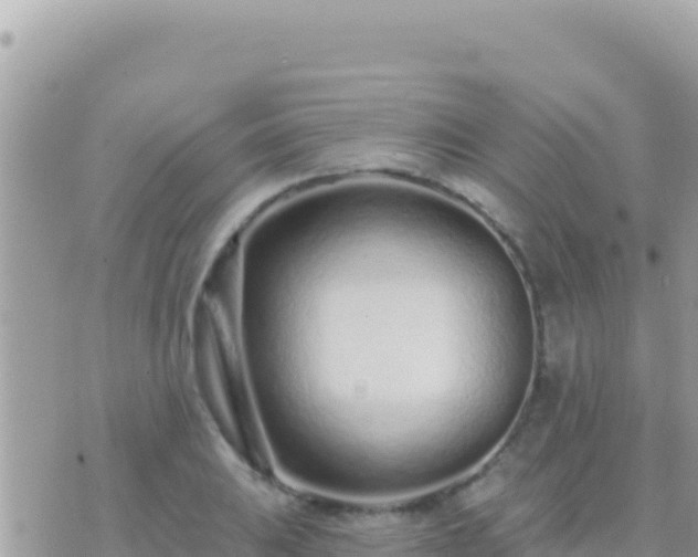 X0000073761031200608102040