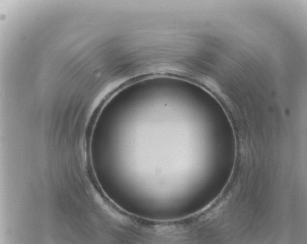 X0000073761032200608102040