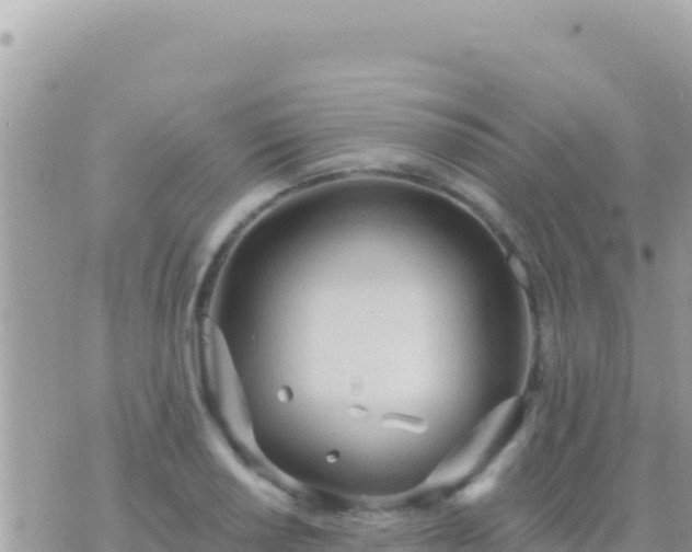 X0000073761034200608102040