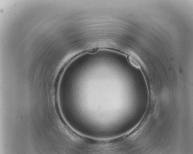 X0000073761035200608102040