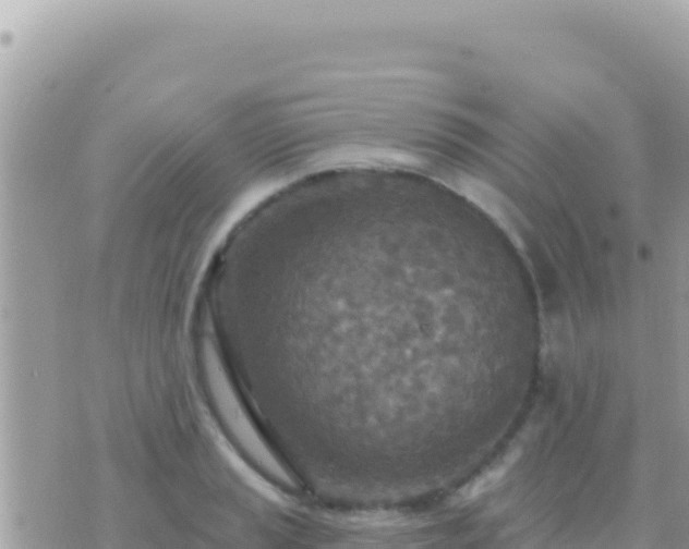 X0000073761037200608102040