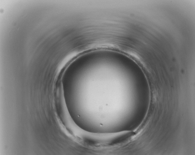 X0000073761038200608102040