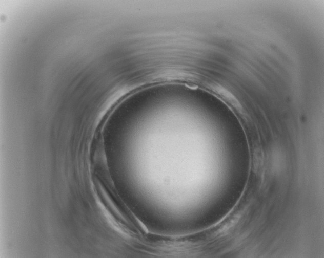 X0000073761039200608102040