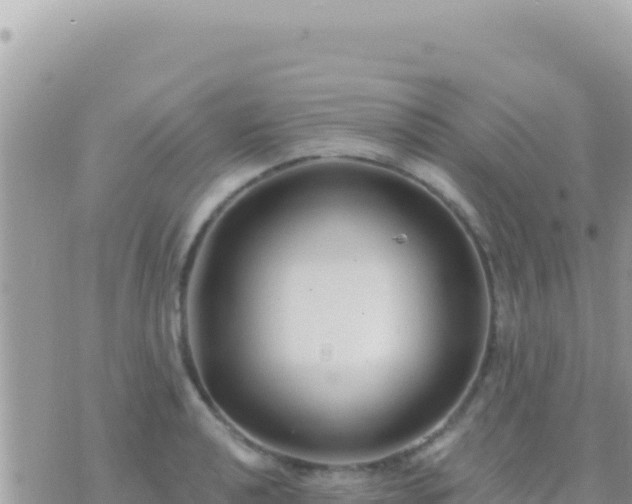 X0000073761040200608102040