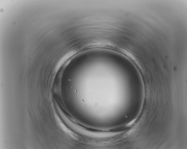 X0000073761042200608102040