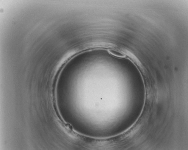 X0000073761043200608102041