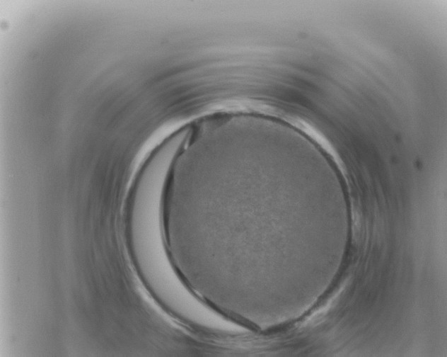 X0000073761045200608102041