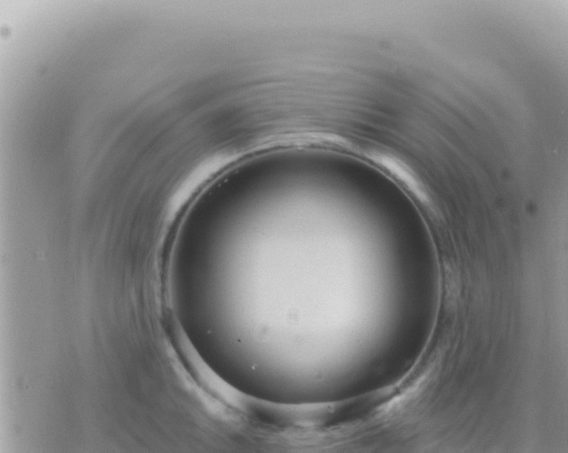 X0000073761046200608102041