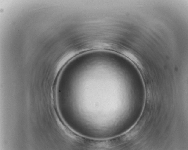 X0000073761047200608102041