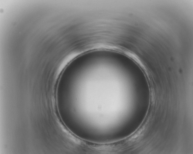 X0000073761048200608102041