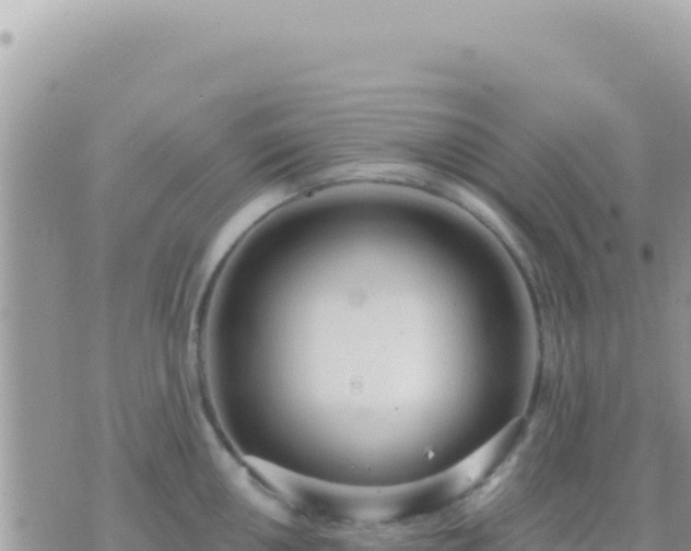 X0000073761050200608102041