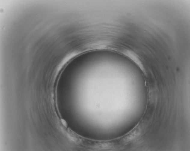 X0000073761051200608102041