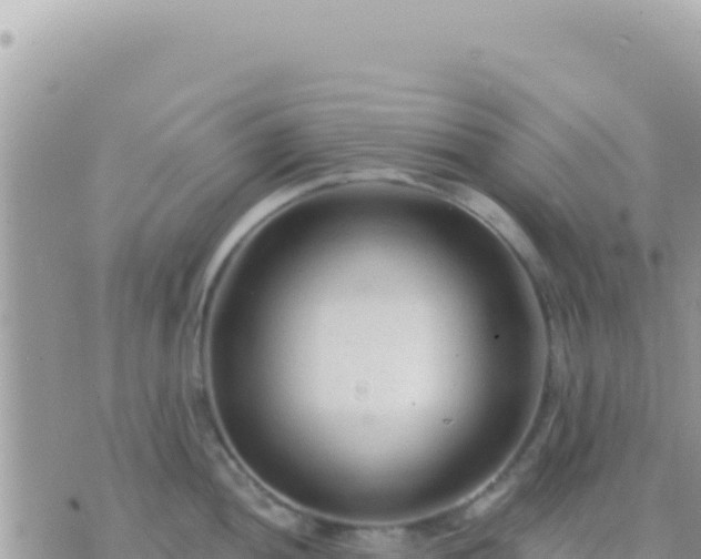 X0000073761052200608102041