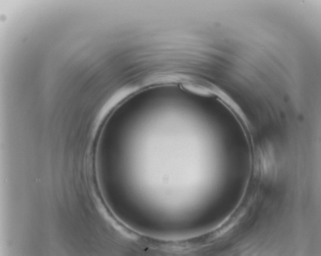 X0000073761053200608102041