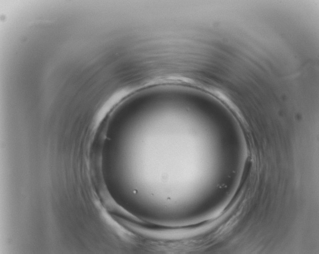 X0000073761054200608102041