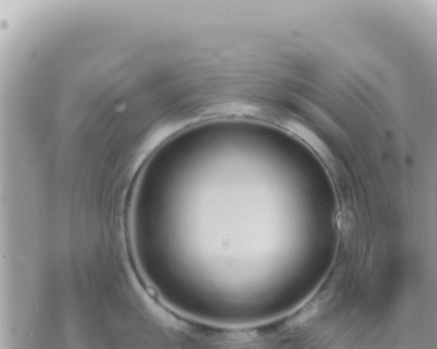 X0000073761055200608102041