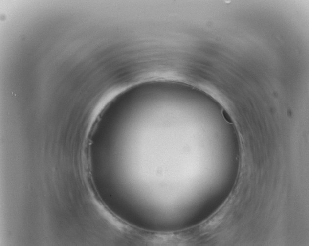 X0000073761056200608102041