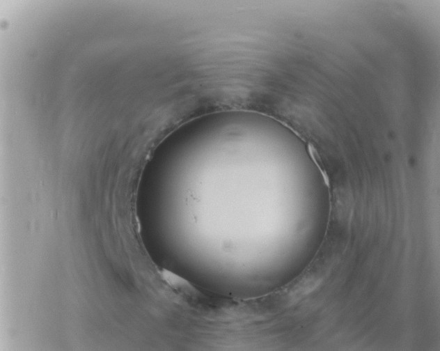 X0000073761057200608102040